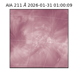 saia - 2026-01-31T01:00:09.629000