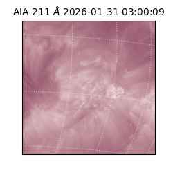 saia - 2026-01-31T03:00:09.630000