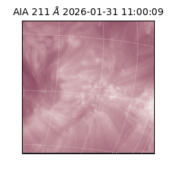 saia - 2026-01-31T11:00:09.626000