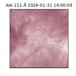 saia - 2026-01-31T14:00:09.626000