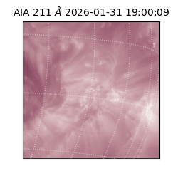 saia - 2026-01-31T19:00:09.626000