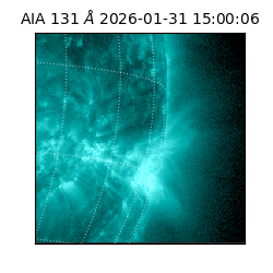 saia - 2026-01-31T15:00:06.622000