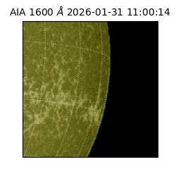 saia - 2026-01-31T11:00:14.126000