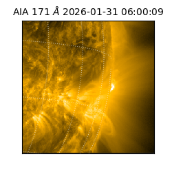 saia - 2026-01-31T06:00:09.349000