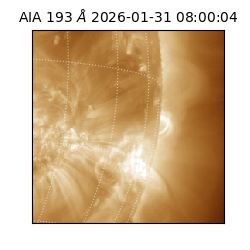 saia - 2026-01-31T08:00:04.843000