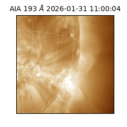 saia - 2026-01-31T11:00:04.843000