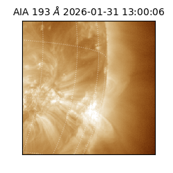 saia - 2026-01-31T13:00:06.937000