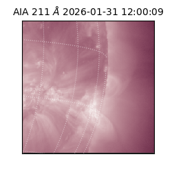 saia - 2026-01-31T12:00:09.626000