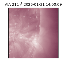 saia - 2026-01-31T14:00:09.626000