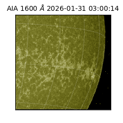 saia - 2026-01-31T03:00:14.126000