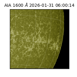 saia - 2026-01-31T06:00:14.126000