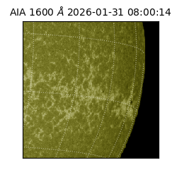 saia - 2026-01-31T08:00:14.126000