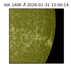 saia - 2026-01-31T13:00:14.126000