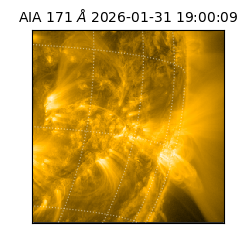 saia - 2026-01-31T19:00:09.350000