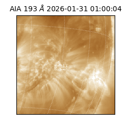 saia - 2026-01-31T01:00:04.846000