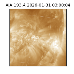 saia - 2026-01-31T03:00:04.843000