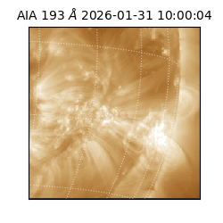 saia - 2026-01-31T10:00:04.843000