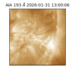 saia - 2026-01-31T13:00:06.937000