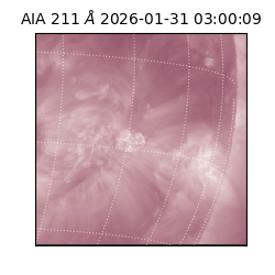 saia - 2026-01-31T03:00:09.630000