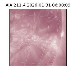 saia - 2026-01-31T06:00:09.633000