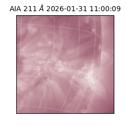 saia - 2026-01-31T11:00:09.626000