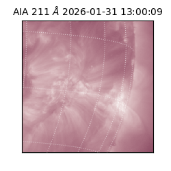 saia - 2026-01-31T13:00:09.623000