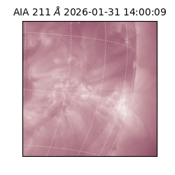 saia - 2026-01-31T14:00:09.626000