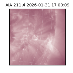 saia - 2026-01-31T17:00:09.622000