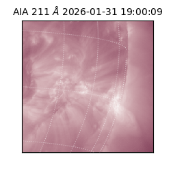 saia - 2026-01-31T19:00:09.626000