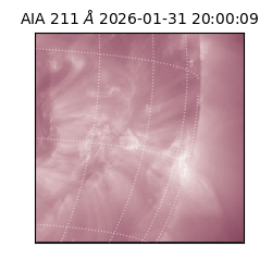 saia - 2026-01-31T20:00:09.626000