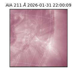 saia - 2026-01-31T22:00:09.626000