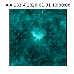 saia - 2026-01-31T13:00:06.638000