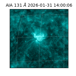 saia - 2026-01-31T14:00:06.622000