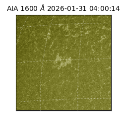 saia - 2026-01-31T04:00:14.126000