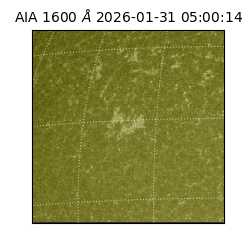 saia - 2026-01-31T05:00:14.126000