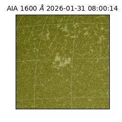 saia - 2026-01-31T08:00:14.126000