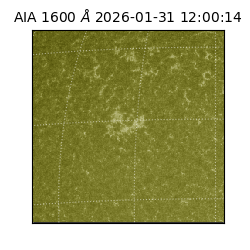 saia - 2026-01-31T12:00:14.126000