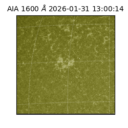 saia - 2026-01-31T13:00:14.126000