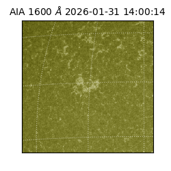 saia - 2026-01-31T14:00:14.126000