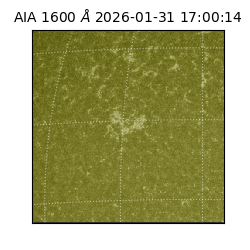 saia - 2026-01-31T17:00:14.126000