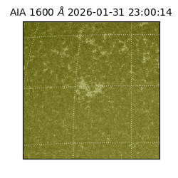 saia - 2026-01-31T23:00:14.126000