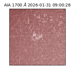 saia - 2026-01-31T09:00:28.717000