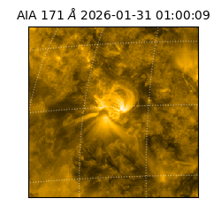 saia - 2026-01-31T01:00:09.349000