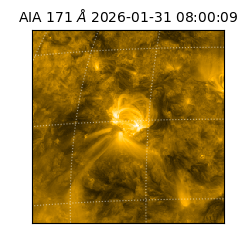 saia - 2026-01-31T08:00:09.350000