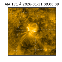 saia - 2026-01-31T09:00:09.350000