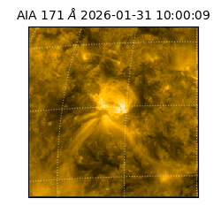 saia - 2026-01-31T10:00:09.350000