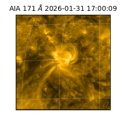 saia - 2026-01-31T17:00:09.350000