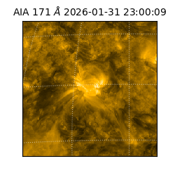 saia - 2026-01-31T23:00:09.350000