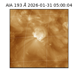 saia - 2026-01-31T05:00:04.843000