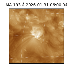 saia - 2026-01-31T06:00:04.843000